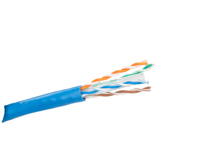 کابل شبکه لگراند CAT6 UTP تست پرمننت روکش PVC حلقه 305 متری | فایبرنت استور